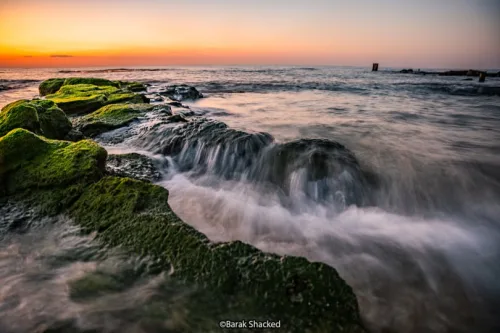 מריחת גלים בשקיעה