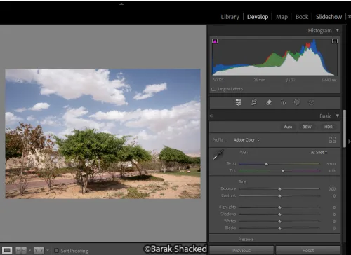היסטוגרמה של תמונה שצולמה תקין בלייטרום